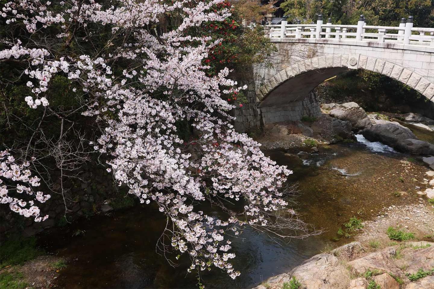 みずまの宿 - Mizuma No Yado Villa Kumatori Exterior photo